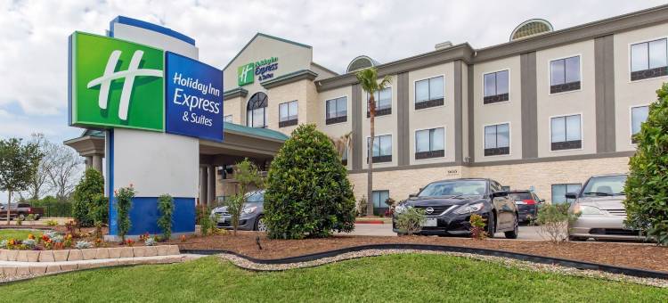 智选假日套房酒店休斯顿 - 阿尔文(Holiday Inn Express & Suites Houston-Alvin)图片