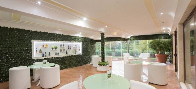 德拉瓦莱酒店(Hotel Della Valle)图片