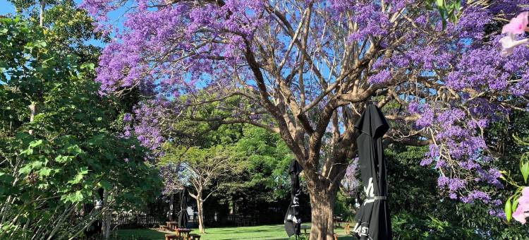 厄马拉酒店(Ulmarra Hotel)图片