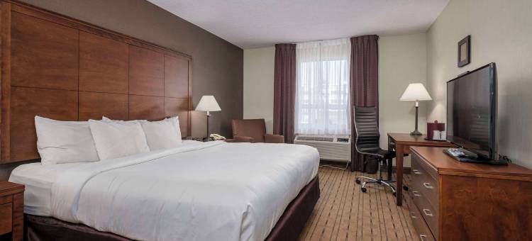 舒适酒店(Comfort Inn - Gander)图片