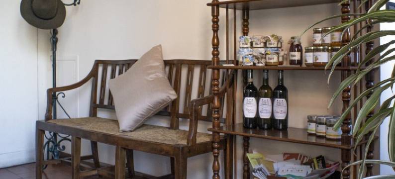 菲耶索乐卡内尔民宿(B&B le Cannelle Fiesole)图片