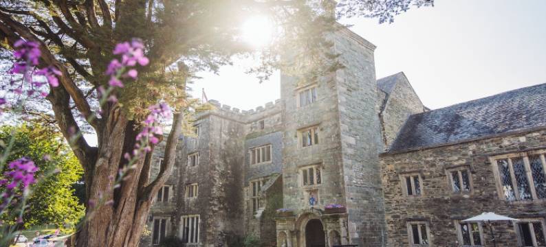 柏凌敦大厅Spa酒店(Boringdon Hall Hotel and Spa)图片