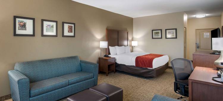 雪松山邓肯维尔舒适套房酒店(Comfort Inn & Suites Cedar Hill Duncanville)图片