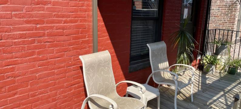 绿洲宾馆(Oasis Guest House)图片