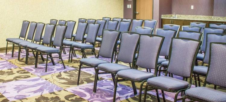 舒适套房酒店(Comfort Suites)图片