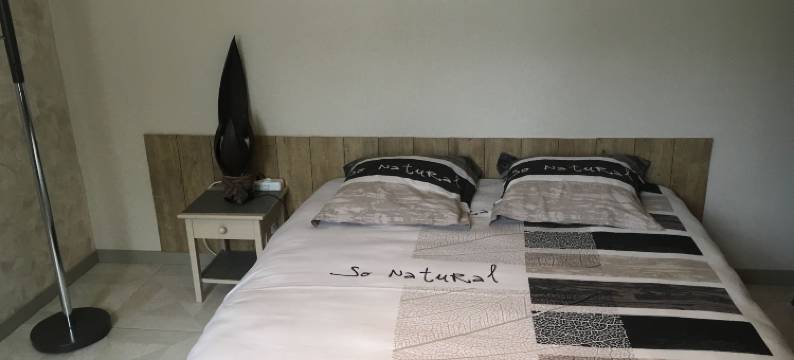 孔谢民宿(Chambres d'hôtes les Conches)图片