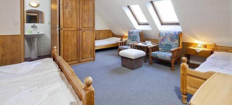 罗斯尼奇卡养生高级旅馆(Wellness Penzión Rosnička)图片