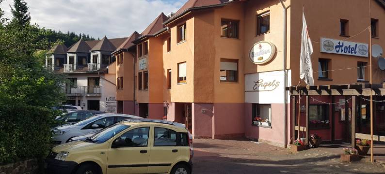 祖尔恩格斯伯格酒店(Hotel Zur Engelsburg)图片