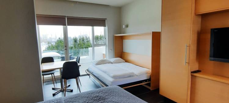 赛罗哈斯公寓及别墅(Saeluhus Apartments & Houses)图片