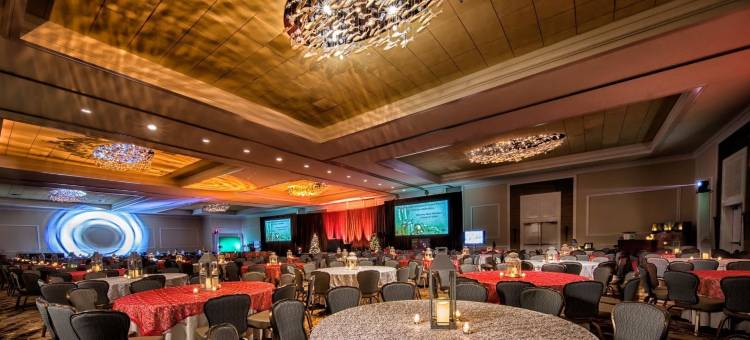 玛格丽塔维尔海滩度假村-南帕诸岛(Margaritaville Beach Resort South Padre Island)图片