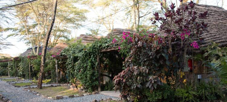 斯瓦拉阿卡西亚旅馆(Swara Acacia Lodge)图片