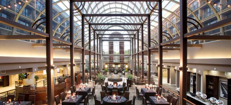 奥兰多北喜来登酒店(Sheraton Orlando North Hotel)图片