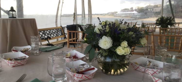 桅顶度假酒店(The Masthead Resort)图片