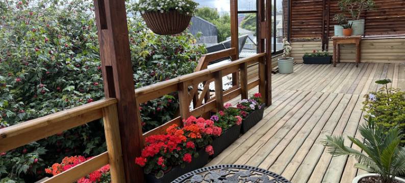 Mi Segundo Hogar客栈(Hostal Mi Segundo Hogar)图片