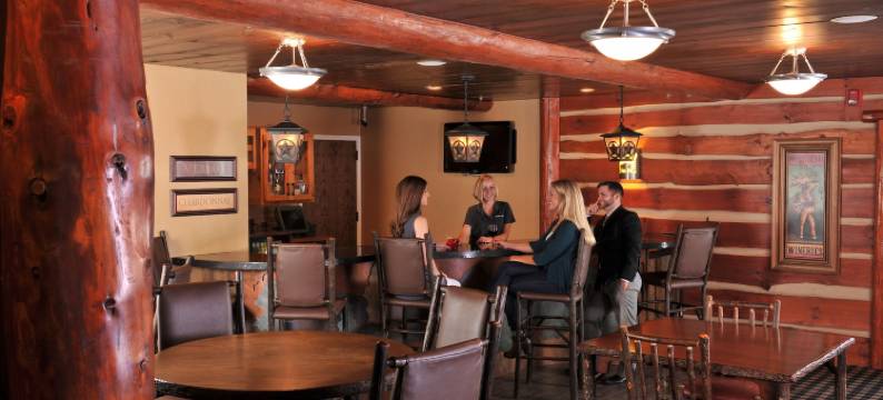 圣约瑟夫石溪酒店(Stoney Creek Hotel St. Joseph)图片