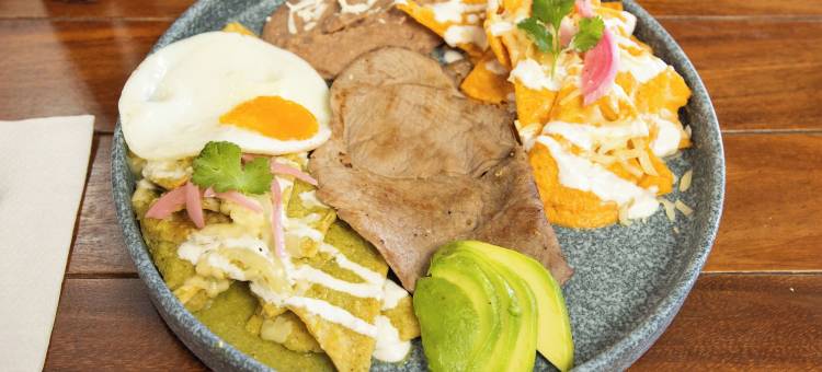 洛斯维涅多斯大酒店(Los Viñedos Gran Hotel)图片