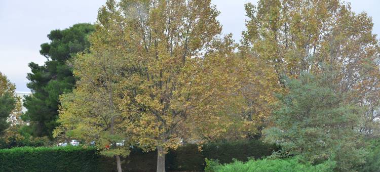 机场酒店-博览园(Aeroport Hotel - Parc Expo)图片