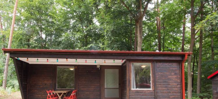 自然家庭公园格里米湖乐园酒店(Natura Ferienpark - Bungalows am Grimnitzsee Schorfheide)图片