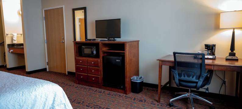 稀树草原套房&酒店(Savanna Inn & Suites)图片