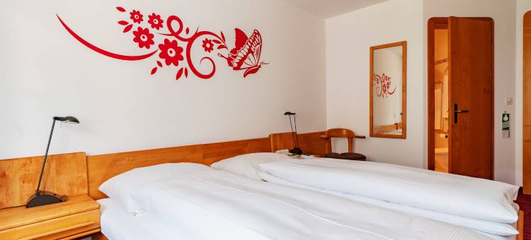 阿尔塔纳典型瑞士酒店(Typically Swiss Hotel Altana)图片