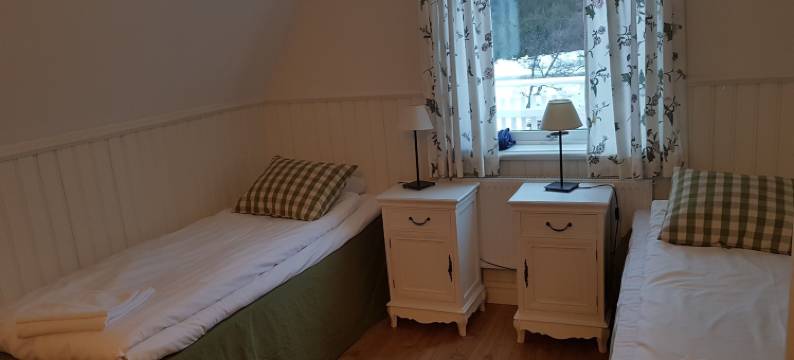 爱娜佛朔乐姆高山酒店(Enaforsholm Fjällgård)图片