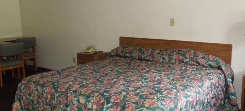 里斯汽车旅馆(Lees Motel)图片