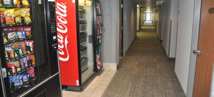 沙丘快捷酒店(Dunes Express Inn and Suites)图片