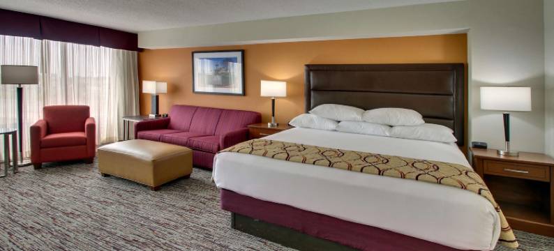 博林格林德鲁里套房酒店(Drury Inn & Suites Bowling Green)图片