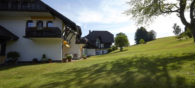 美丽森林的牛酒店(Hotel Zum Ochsen)图片