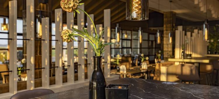 卡兰茨奥赫弗莱彻酒店(Fletcher Badhotel Callantsoog)图片