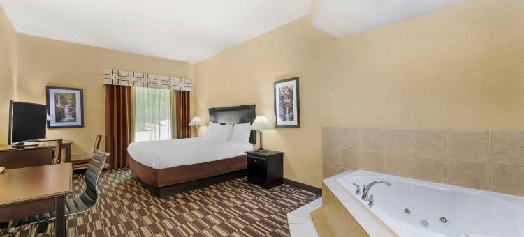 维克特贝斯特韦斯特优质套房酒店(Best Western Plus Victor Inn  Suites)图片