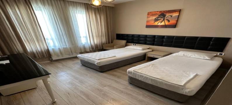 塔山酒店(Gaziantep Tashan Hotel)图片