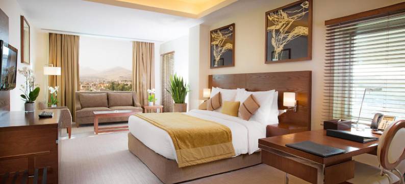 国敦巴拉纳酒店(Copthorne Hotel Baranan)图片