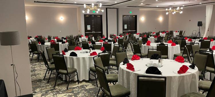 Holiday Inn & Suites 芝加哥西北 - 埃尔金(Holiday Inn & Suites Chicago Northwest - Elgin)图片