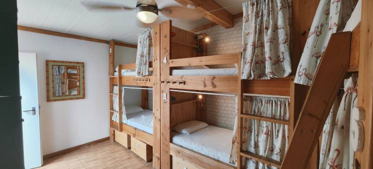蓝窗青年旅舍(La Ventana Azul Surf Hostel)图片
