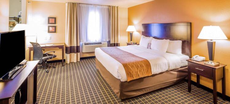 甘尼森克雷斯特德比特舒适套房酒店(Comfort Inn & Suites Gunnison-Crested Butte)图片