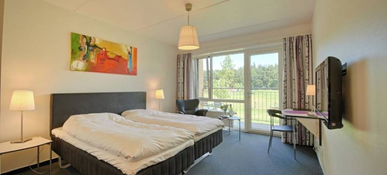 菲尔斯特斯科夫酒店及会议中心(Fjelsted Skov Hotel & Konference)图片