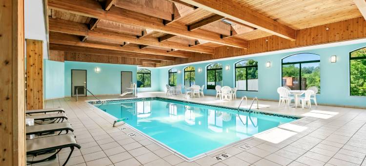 舒适套房酒店大布兰克/弗林特(Comfort Inn & Suites Grand Blanc-Flint)图片