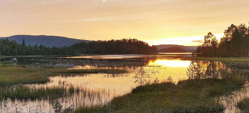 Tranquil Retreat in Halsingland-By Traum图片