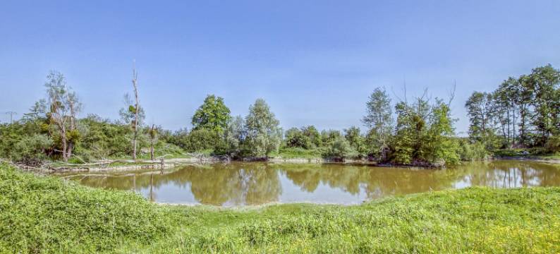 Pleasant Cottage in Challerange图片