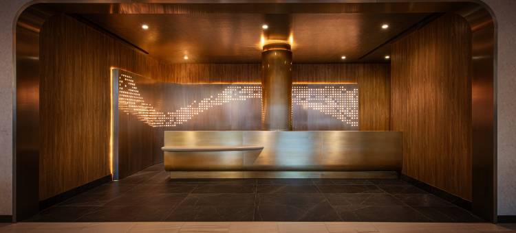 纽约时代广场希尔顿酒店(Hilton New York Times Square)图片