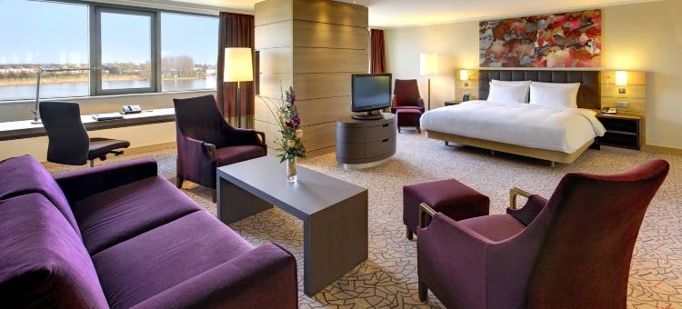 美因茨希尔顿酒店(Hilton Mainz)图片