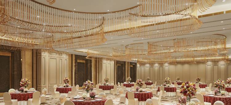 泰姬提鲁帕提酒店(Taj Tirupati)图片