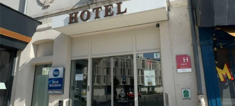 布卢瓦城堡贝斯特韦斯特酒店(Best Western Blois Chateau)图片