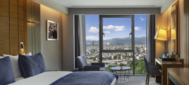 瑞享温泉水疗酒店(Mövenpick Bursa Hotel and Thermal Spa)图片