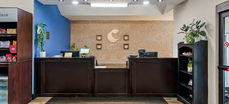 圣查尔斯舒适套房酒店-圣路易斯(Comfort Suites St Charles-St Louis)图片