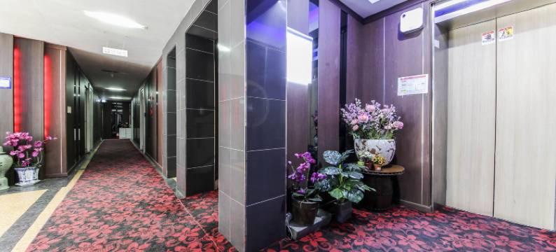 杨州卡拉(Yangju Kara)图片