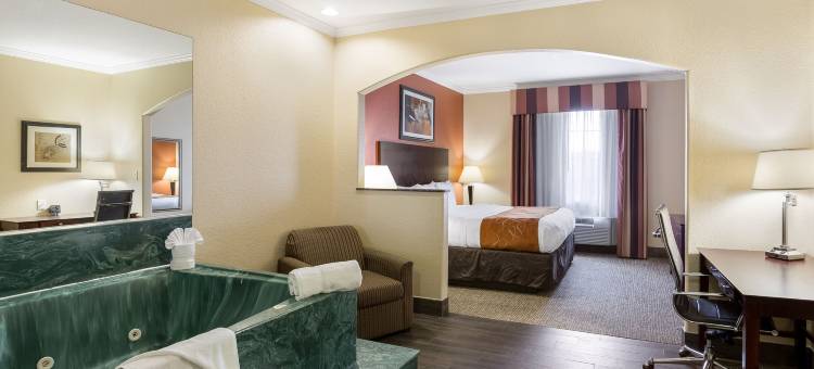 贝敦I10舒适套房酒店(Comfort Suites Baytown I – 10)图片