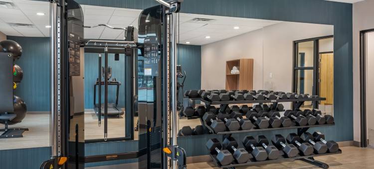 坎布里亚酒店尤里斯- DFW机场南(Cambria Hotel Euless - DFW Airport South)图片