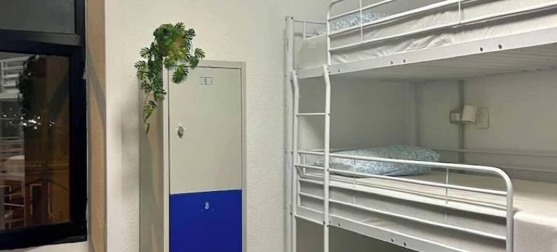 拉伊斯莱塔巢旅舍(La Isleta Nest Hostel)图片